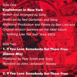 画像2: STING / ENGLISHMAN IN NEW YORK (90年MIX) [◎中古レア盤◎お宝！美品ジャケ！ファンキー90年MIX版！]