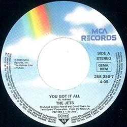 画像3: THE JETS / YOU GOT IT ALL (7インチ) [◎中古レア盤◎激レア！新品同様の超美品！ドイツ版ジャケ7"！MURO！]