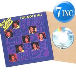 画像1: THE JETS / YOU GOT IT ALL (7インチ) [◎中古レア盤◎激レア！新品同様の超美品！ドイツ版ジャケ7"！MURO！]