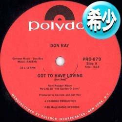 画像1: DON RAY / GOT TO HAVE LOVING (12"MIX/全2曲) [■廃盤■お宝！少量生産版！必殺ガラージ！フロア圧巻！]