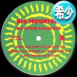 画像1: BIG MOUNTAIN / TSUNAMI + 5曲 (ミニLP/全6曲) [◎中古レア盤◎お宝！超希少音源！サザン英語カバー！極上カバー集！]