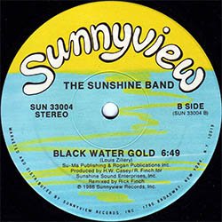 画像3: THE SUNSHINE BAND / BLACK WATER GOLD (米原盤/全2曲) [◎中古レア盤◎お宝！貴重な美品！他と違うSUNNY.V版！MURO！]