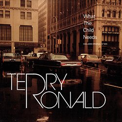 画像2: TERRY RONALD / WHAT THE CHILD NEEDS (英原盤/4VER) [◎中古レア盤◎激レア！超希少ジャケ付！内容違い4VER入り！]