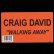 画像2: CRAIG DAVID / WALKING AWAY (米原盤/REMIX) [◎中古レア盤◎お宝！コレは原盤！哀愁ミッドダンサー！] (2)