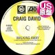 CRAIG DAVID / WALKING AWAY (米原盤/REMIX) [◎中古レア盤◎お宝！コレは原盤！哀愁ミッドダンサー！]