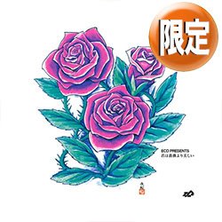 画像1: ECD feat 有近真澄 / 君は薔薇より美しい (3VER) [■限定■祝復刻！限定レッドカラー12"！布施明カバー！]