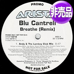 画像1: BLU CANTRELL / BREATHE (USプロモ/REMIX) [◎中古レア盤◎お宝！USプロモオンリー原盤！R&Bハウス！]