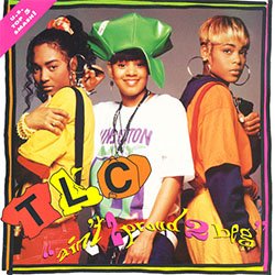 画像2: TLC / AIN'T 2 PROUD 2 BEG (英原盤/REMIX) [◎中古レア盤◎激レア！内容違いのUK原盤！ハウスMIX入り！]