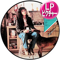 画像1: O.S.T / フラッシュダンス (ピクチャーLP原盤/全10曲) [◎中古レア盤◎お宝！海外高値の日本版ピクチャー盤！サントラ名盤！]