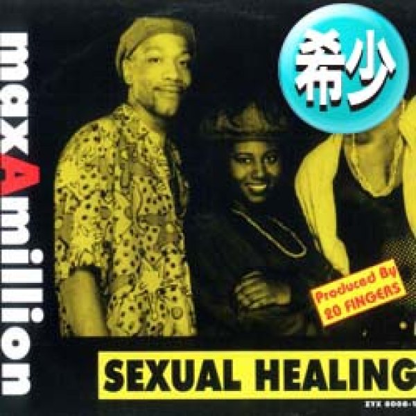 画像1: MAX-A-MILLION / SEXUAL HEALING (4VER) [◎中古レア盤◎お宝！少量生産ジャケ付！人気ラガカバー！] (1)