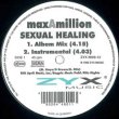 画像2: MAX-A-MILLION / SEXUAL HEALING (4VER) [◎中古レア盤◎お宝！少量生産ジャケ付！人気ラガカバー！] (2)