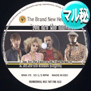 The Brand New Heavies レコード12インチ remix レア-