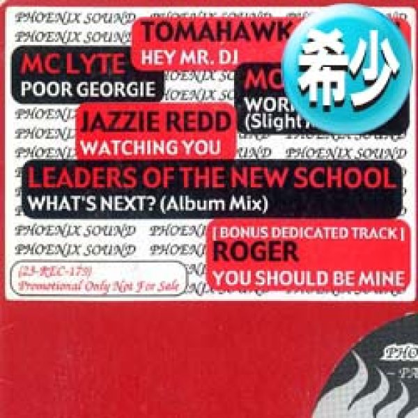 画像1: ROGER / YOU SHOULD BE MINE + 5曲 (全6曲) [◎中古レア盤◎お宝！少量生産！PARTYラップ特集！] (1)