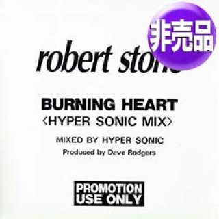購入前確認 レコード ROBERT STONE BURNING HEART - 洋楽