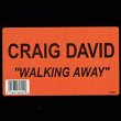 画像2: CRAIG DAVID / WALKING AWAY (米原盤/REMIX) [◎中古レア盤◎お宝！コレは原盤！哀愁ミッドダンサー！] (2)