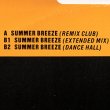 画像2: NICKI RICHARDS / SUMMER BREEZE (英原盤/12"MIX) [◎中古レア盤◎激レア！本物の原盤！極上ソウルカバー！MURO！] (2)