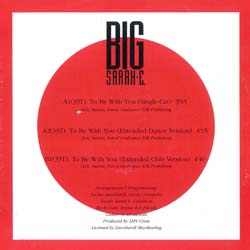 ナスティーストリートレコード Big Sarah E To Be With You 12 Mix 3ver 廃盤 お宝 美a級品 希少ジャケ付 ドイツのみ ミスターbigカバー